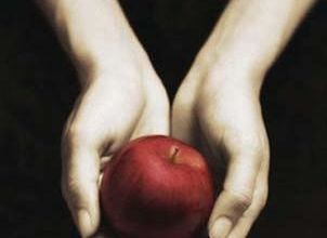 Twilight, tome 1 : Fascination de Stephenie Meyer (relecture)