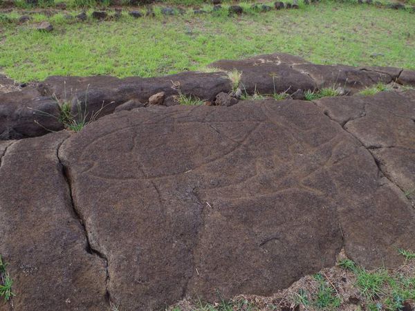 Les pétroglyphes de Papa Vaka.