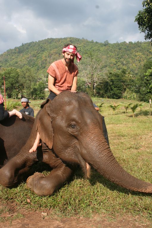 Depart pour le Nord Thailande.
Escale "obligee" a Chiang Mai. Visie de temples, nombreux dans la vieille ville. Training d'elephants.- Pai reggae fest