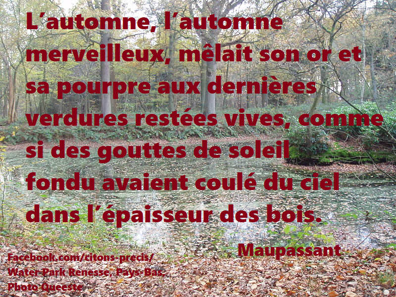 25 Citations Sur L Automne L Arriere Saison Ou La Nature Est En Feu Citons Precis Com Citations