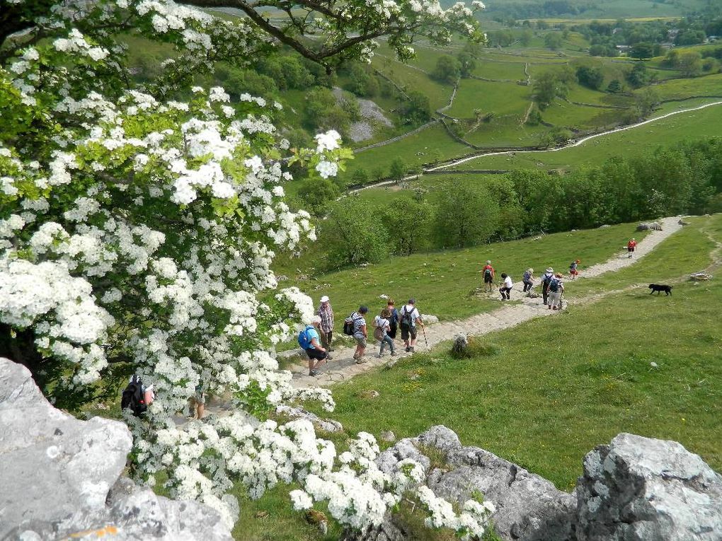 Pour rejoindre ce chemin  vers Malham , nous allons  descendre un escalier de 400 marches ...