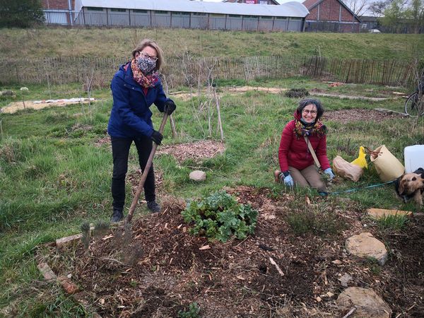 Jardinage du 3 avril 2021 et autres nouvelles...