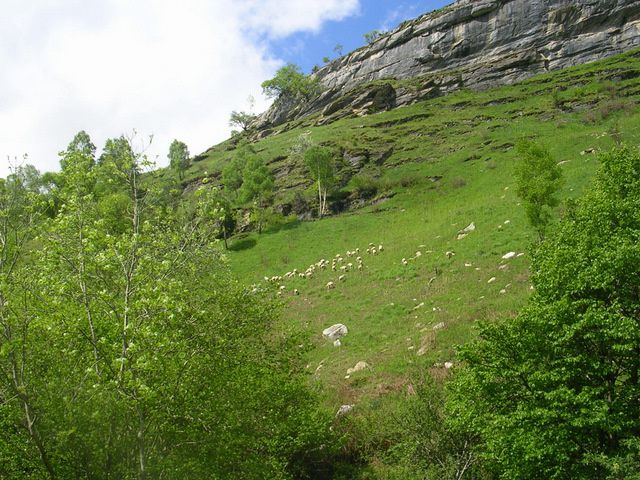 1ère étape de transhumance pour un mois (de mi-mai à mi-juin), avant de revenir cet automne