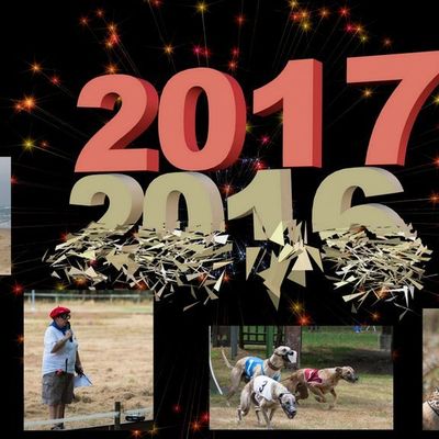 Bonne et heureuse année 2017