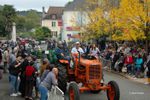 Fête du maïs : L'or vert dans tous ses éclats