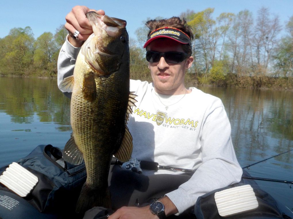 Une séléction de photos de black-bass bourguignons ! Manque hélas quelques gros pépères !