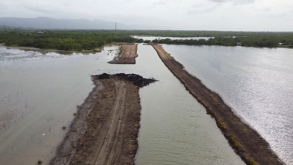 Denuncian “ecocidio” por parte del Ministerio de Ecosocialismo en el Refugio de Fauna de Cuare en Falcón (+Fotos)