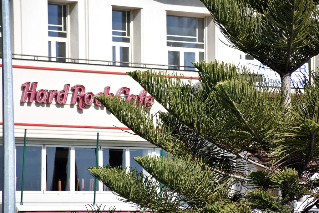 CARNAVALOVIRUS SUR LA PLUS BELLE AVENUE DU MONDE