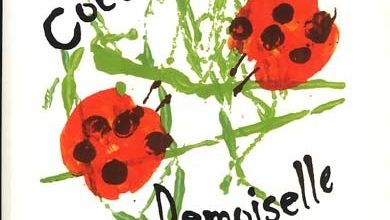 Coccinelle Demoiselle