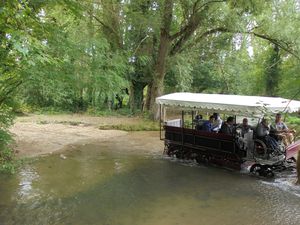 Cet été, promenade en calèche à Nonville (77)