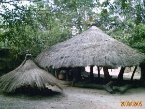 Album - Dakar-Casamance