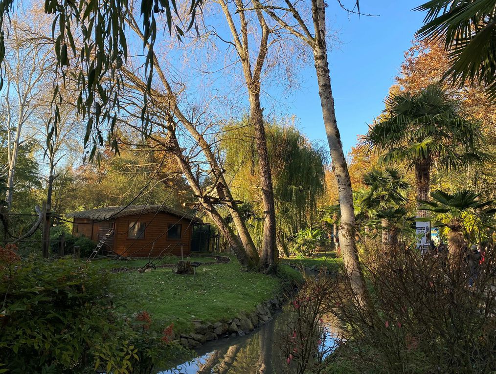 Le Zoo de BEAUVAL