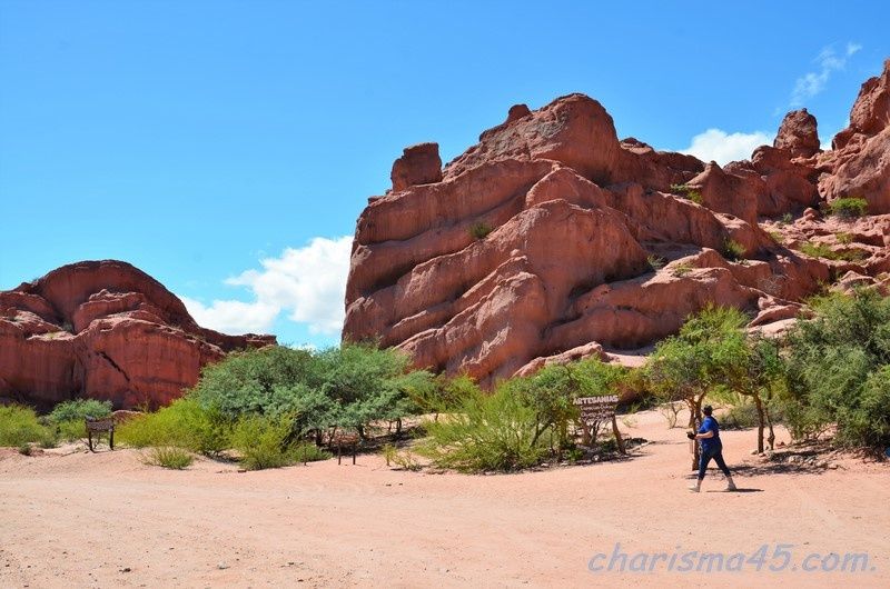 Quebrada de las Conchas - Los Colorados, Argentine en camping-car