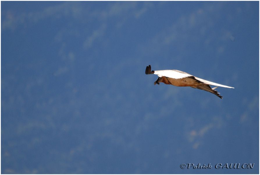 Album - Dans-le-ciel-de-la-vallee