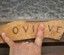 Ovive34 sur la piste des cistes...