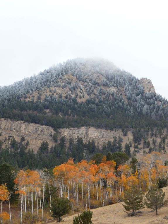 Album - 15.Yellowstone (Wyoming-octobre)