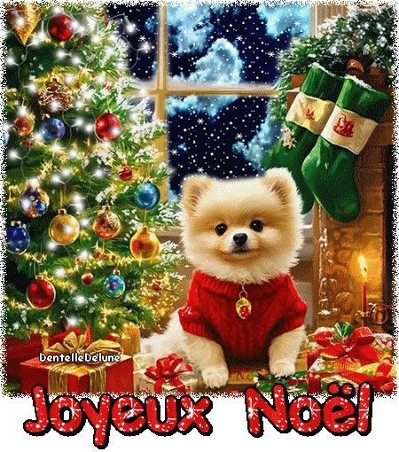 Joyeux Noël - petit chien - sapin illuminé
