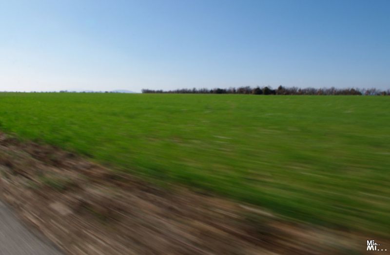 Album - Valensole-et-ses-environs