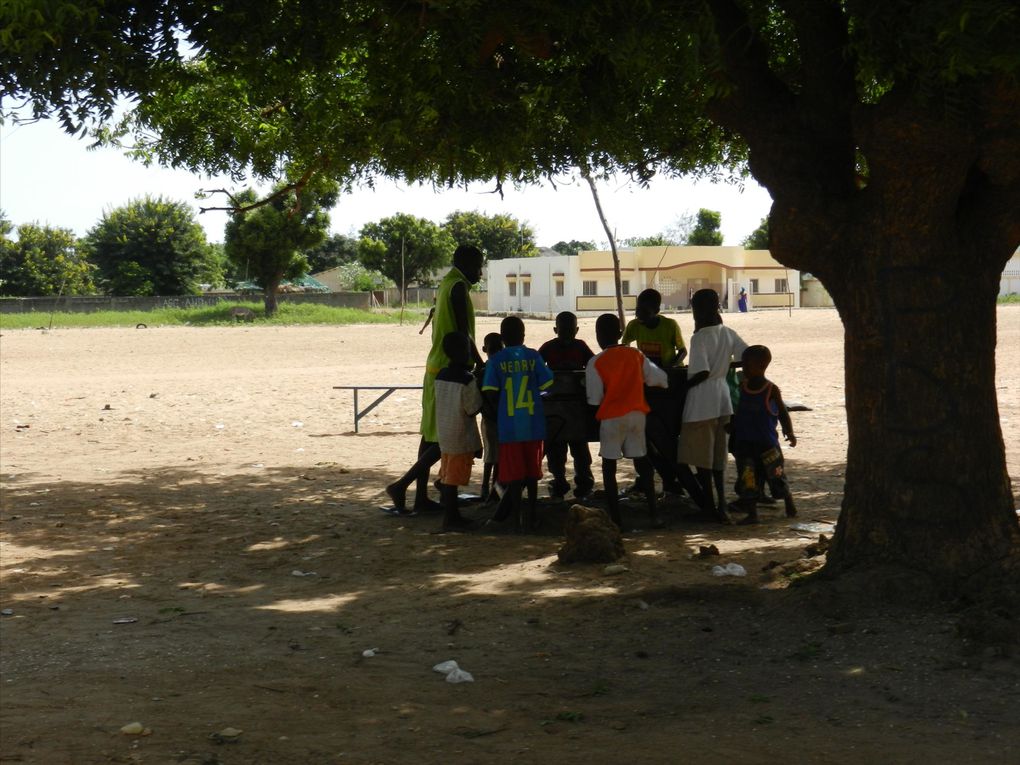 Album - Sud est du senegal (suite)