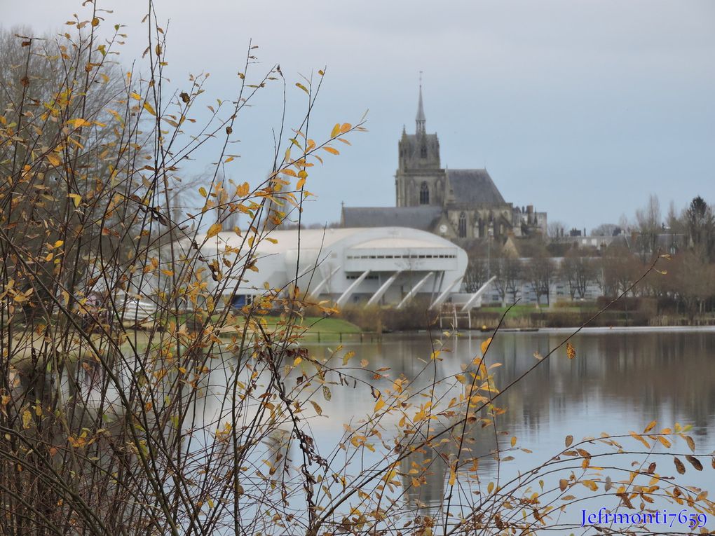 bonne année 2015