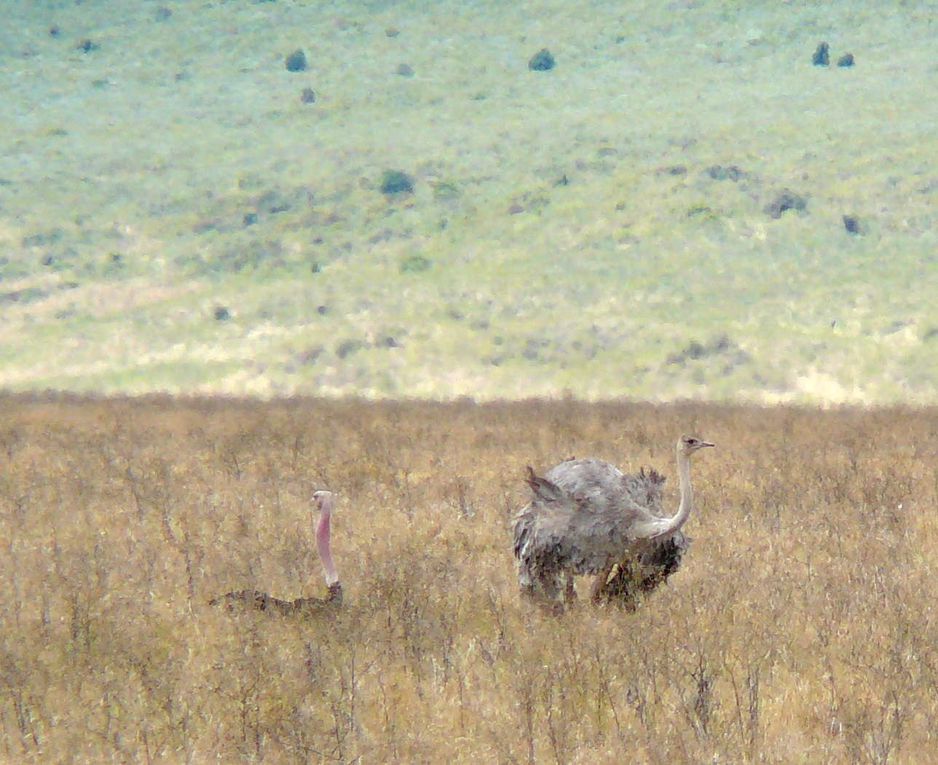 Album - Tanzanie-2007