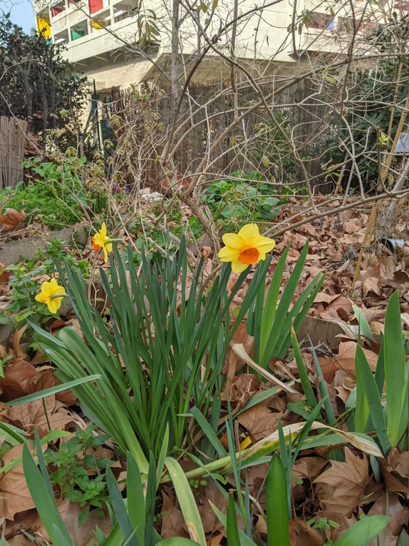 TOUS AU JARDIN   7 AVRIL 2024