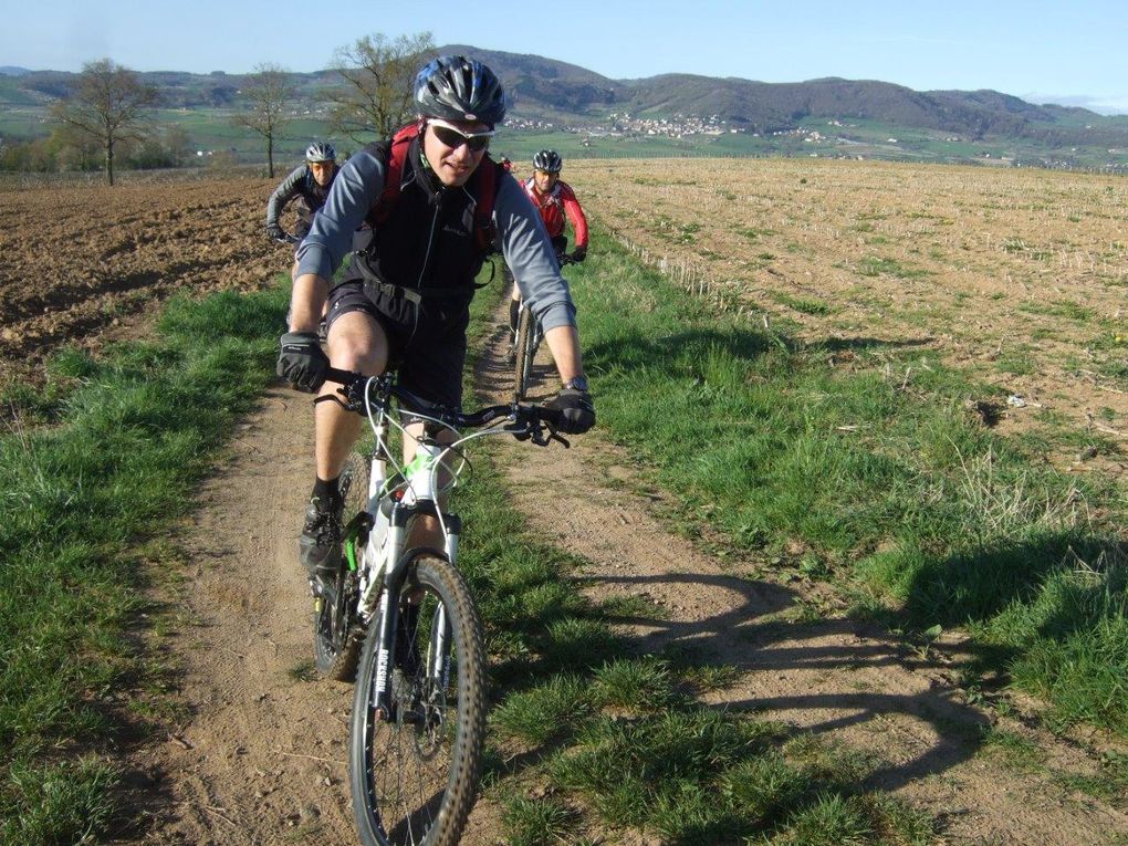 Rando 55 km "entre vigne et pierres dorées"