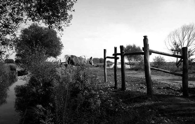 Campagne bretonne