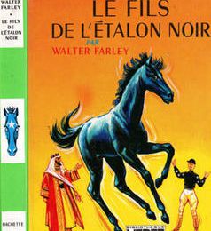 03- le fils de l'étalon noir