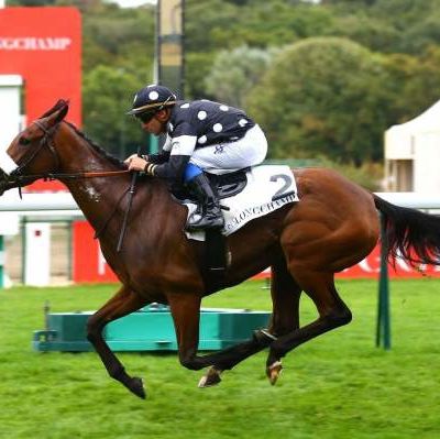 Quinté Lundi à Saint-Cloud : Ego Dancer a la pointure