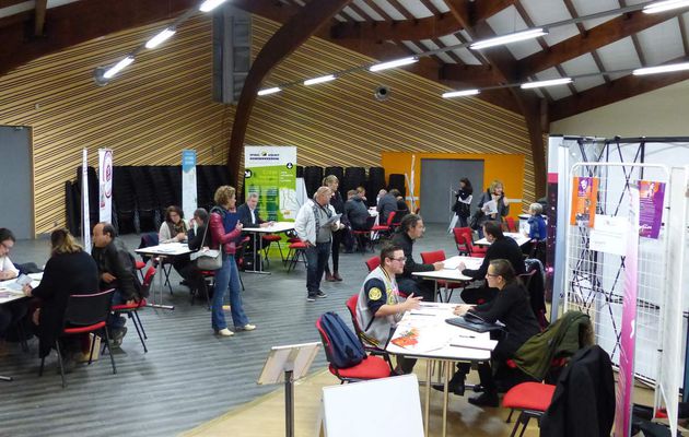 Entrepreneuriat: avec le salon" Go!", consulter et se lancer