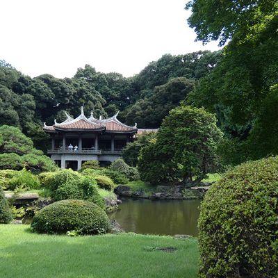 Voyage au Japon - Tokyo - Shinjuku -  Parc Gyoen