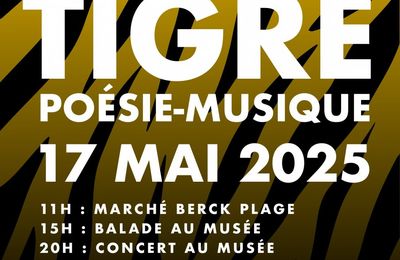 A BERCK SUR MER, LA NUIT DES MUSEES AU MUSEE OPALE SUD  