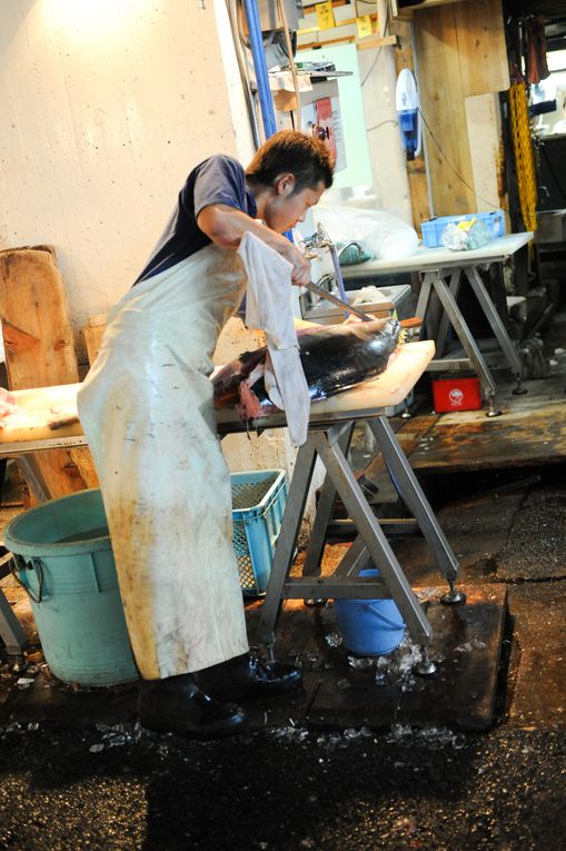 Album - F. ALIX : le marché de Tsukiji, Tokyo