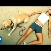 David Guetta - Baby When The Light (Official Video)