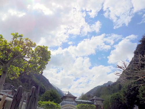 Cauterets au mois de mai.... paysages et fleurs sauvages !