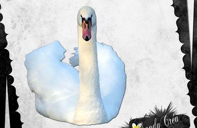 CU freebie Cygne Blanc par SandyCréa