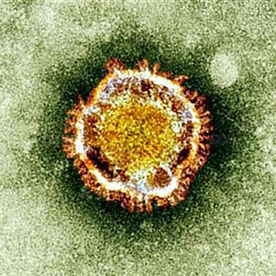 El coronavirus