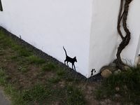 Les bateaux divertissent le port, les rues défilent avec langueur et s'étirent en couleur, les souris assomment les chats qui préfèrent jouer avec les papillons, les figuiers se reposent depuis un siècle et Van Gogh disserte sur le coeur des hommes....c'est aussi ça Port Joinville !!! 