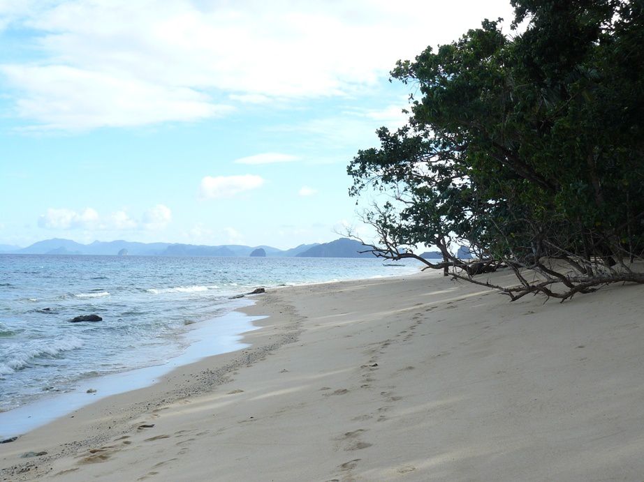 Album - Les-Philippines---Palawan