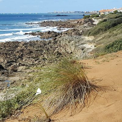 Le littoral du bois Saint-Jean en Octobre