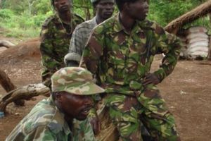 Centrafrique:Des barrières érigées par les éléments de la LRA dans la Haute-Kotto 