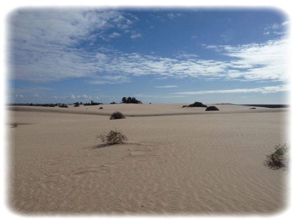 Album - Mildura - Mungo National Park