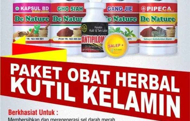 Obat Kutil Kelamin Tanpa Efek Samping 2 Oles Sembuh