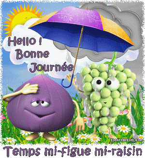Temps mi-figue mi-raisin - hello ! Bonne journée-a