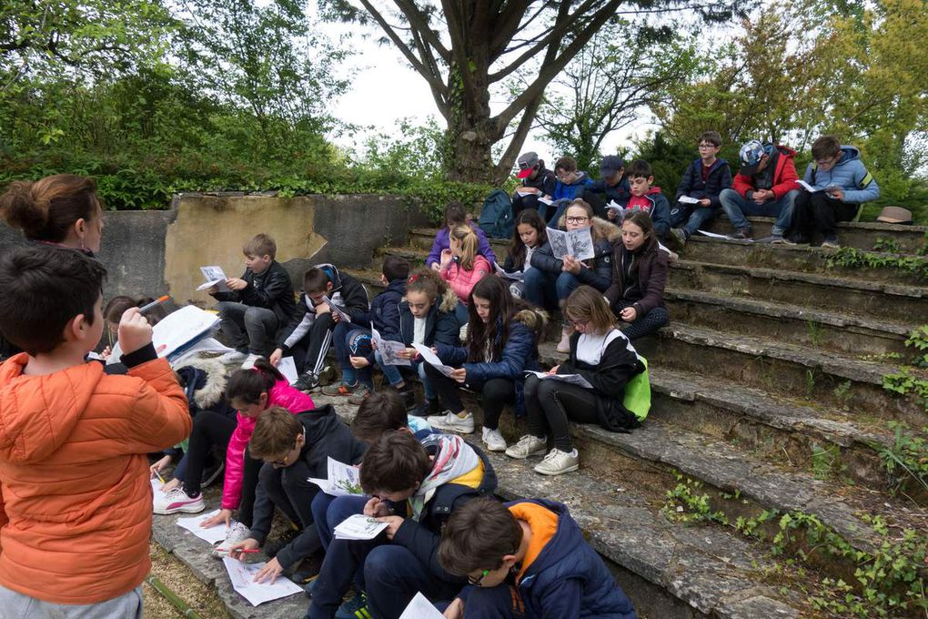 Activités découverte faune et flore aquatique...