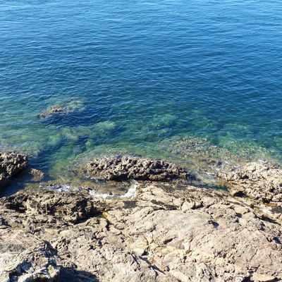 Rando au départ d'Arzon (56)