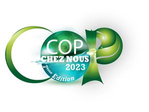 COP28 : quand les jeunes leaders du Bassin du Congo organisent leurs propres négociations climatiques : COP CHEZ NOUS organisé par AJVC et  le réseau des jeunes leaders pour les forêts du bassin du Congo.