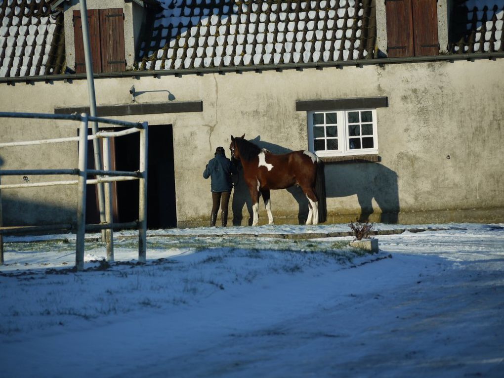 Album - neige à saint maur 2010