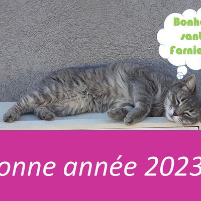 Belle année 2023 à tous et toutes !